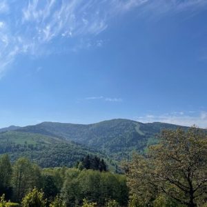 IMG_3369