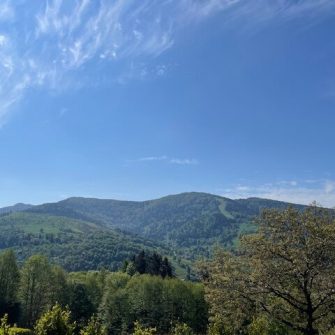 IMG_3369